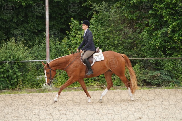 sA9K09966.JPG